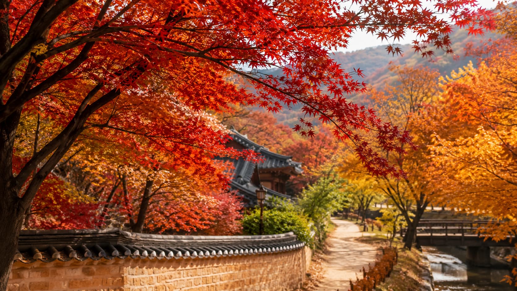 Red and orange autumn foliage around a Korean-style garden.